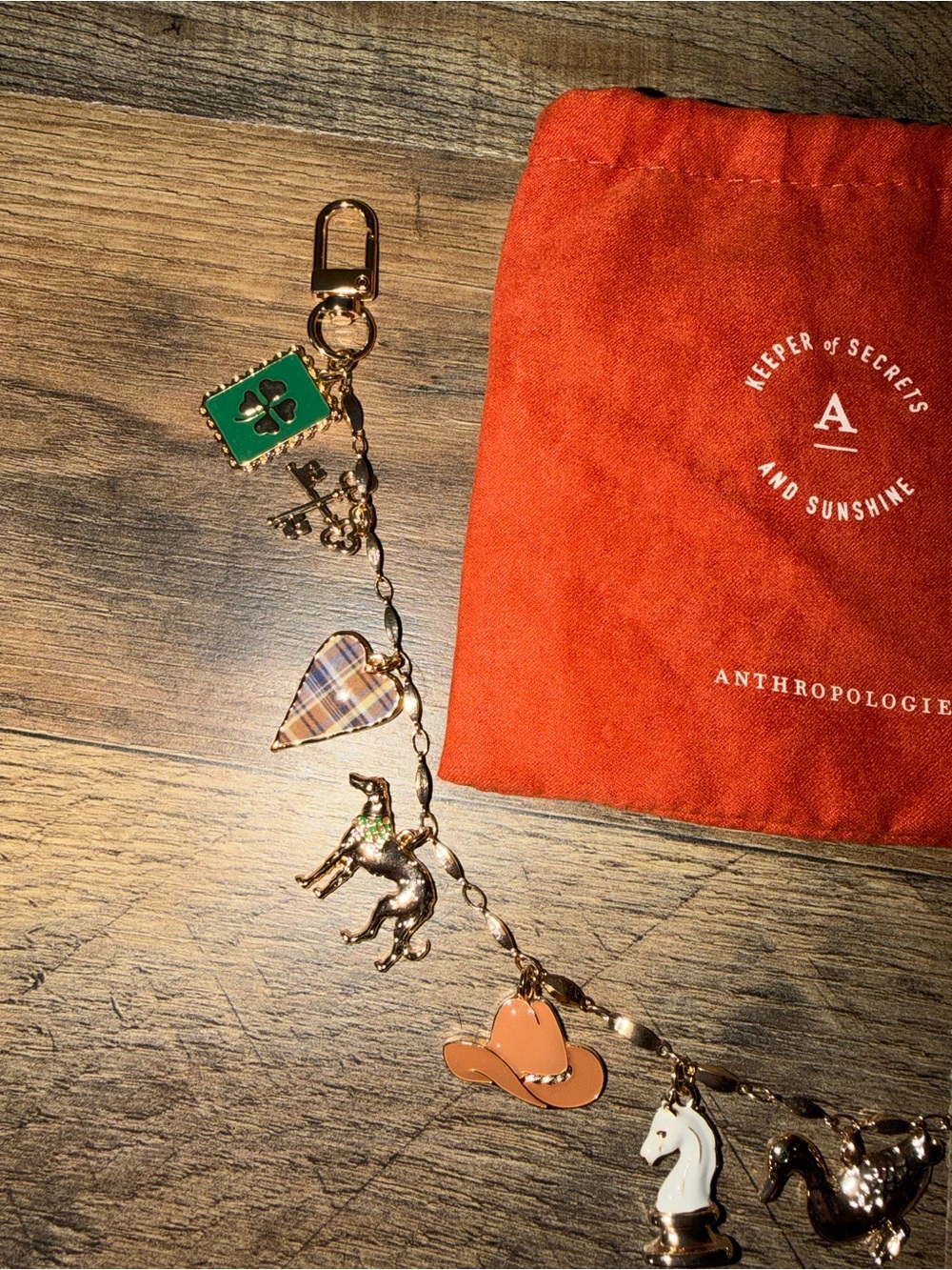 Anthropologie Bag Charm - Picture 4 of 4